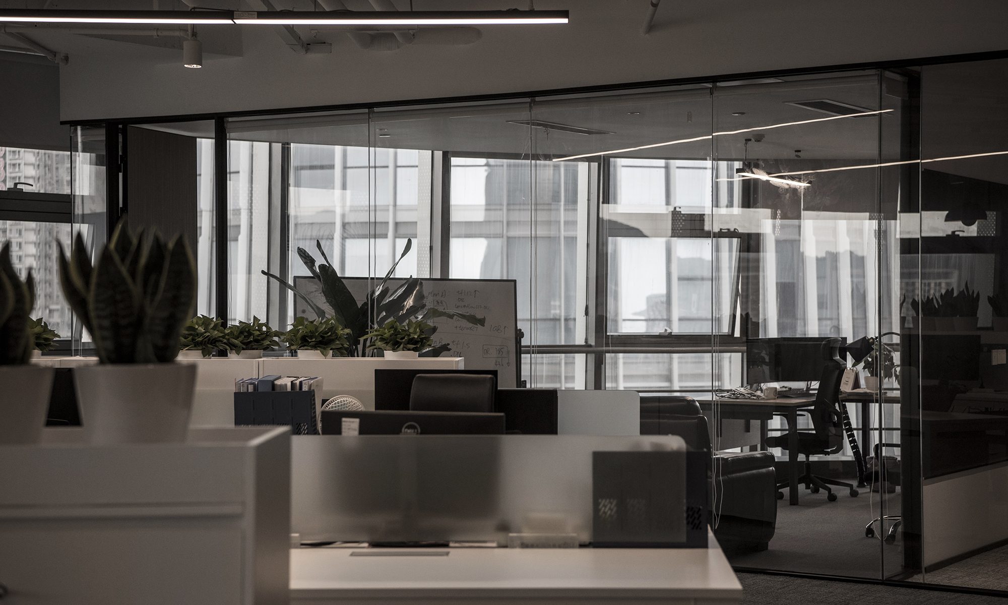 Office for Rayshape