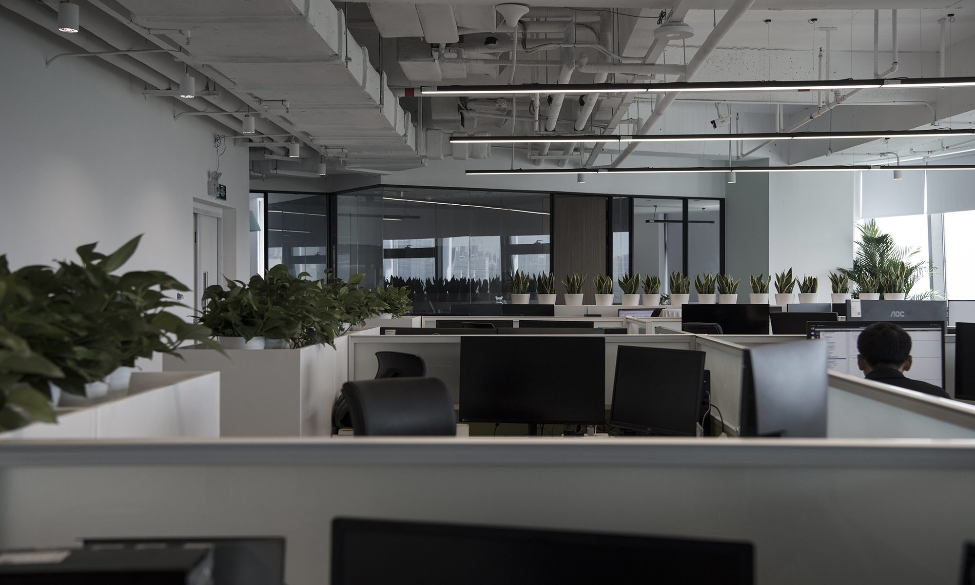 Office for Rayshape