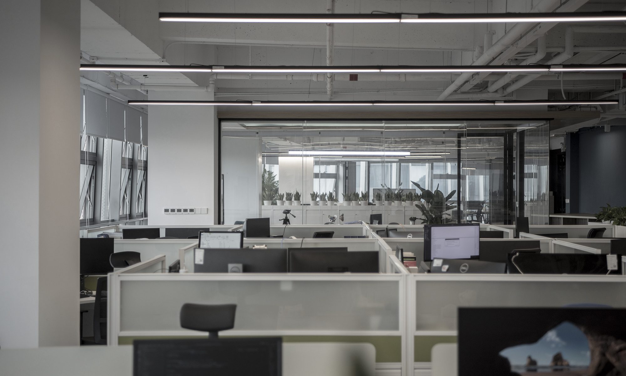 Office for Rayshape