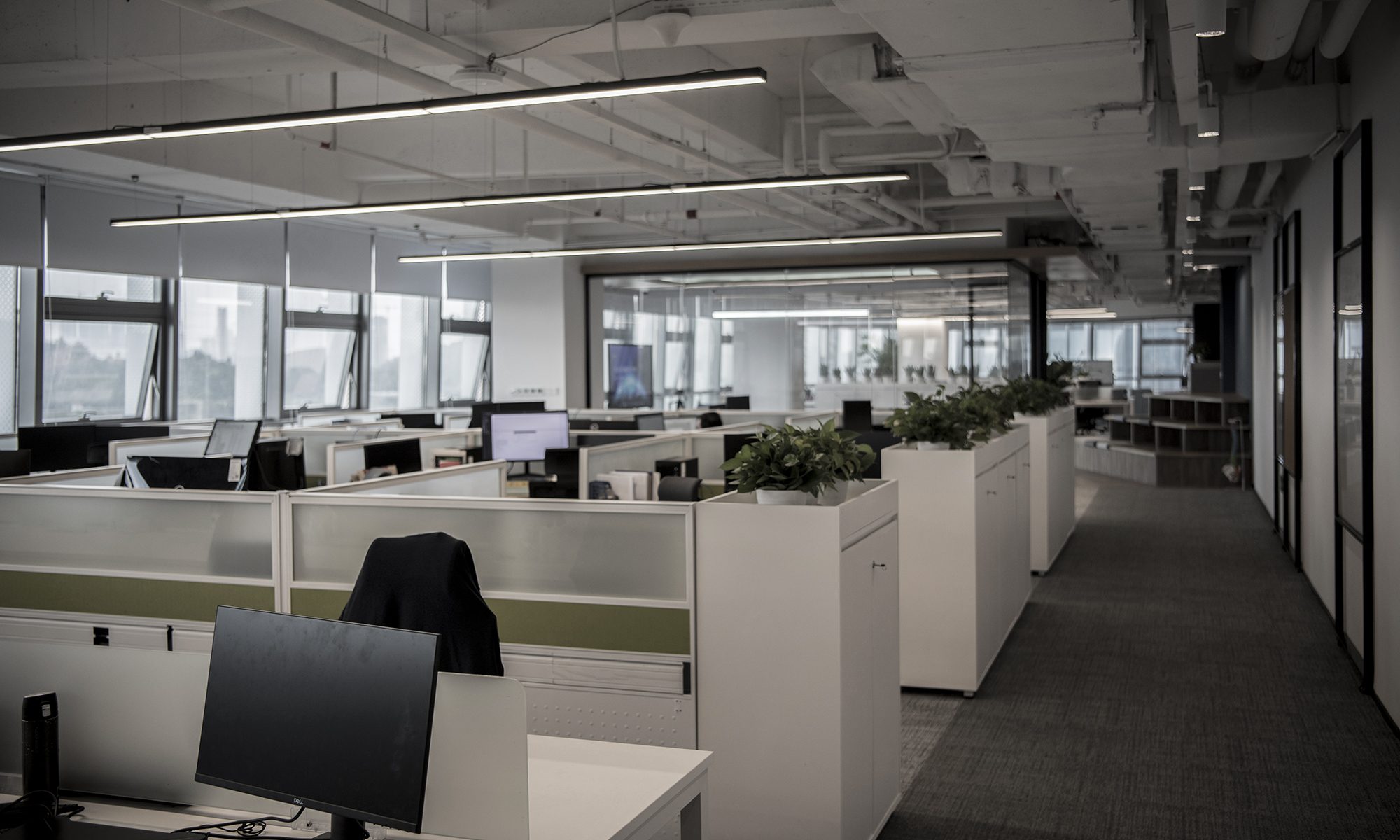 Office for Rayshape